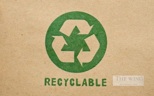 Bao bì xanh bảo vệ môi trường _ sứ mệnh của The Wing